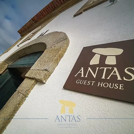 Antas 3*