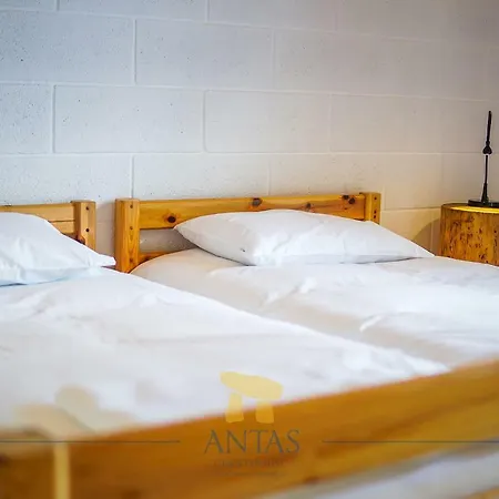 Antas 3*