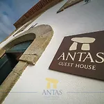 Antas 3*