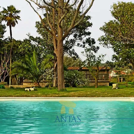 Antas * Esposende