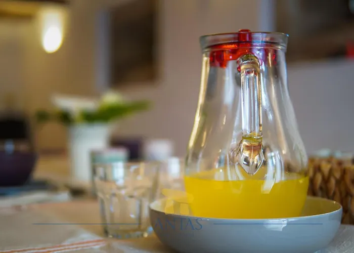 Maison d'hôtes Antas 3*